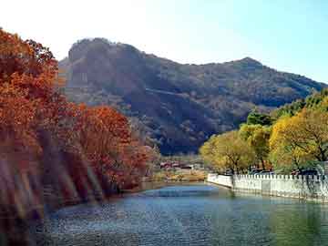 新澳天天开奖资料大全旅游团，巴西莓纤体奶茶